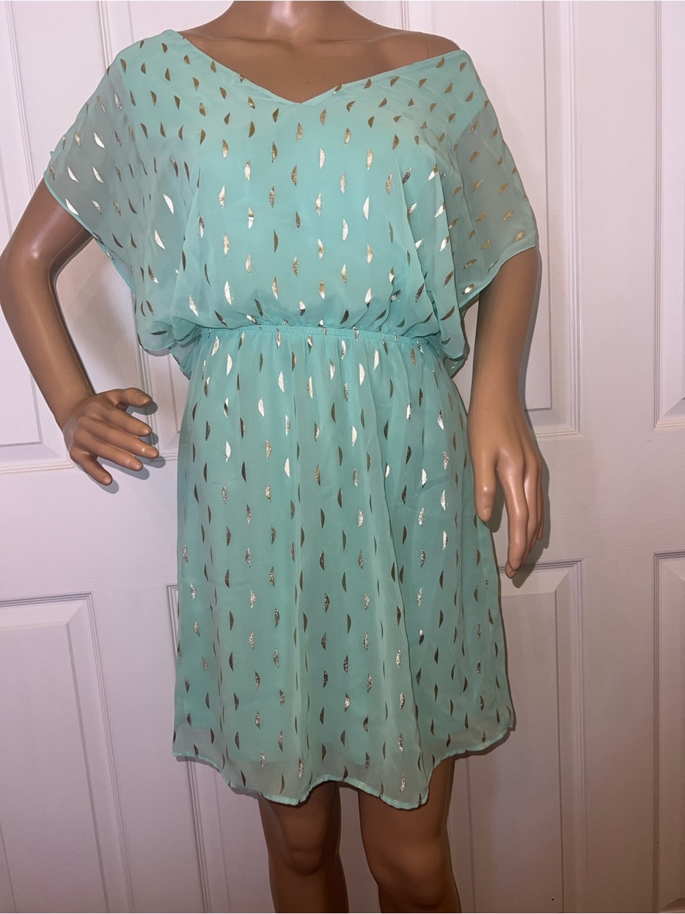 Mint Green Chiffon Dress with Gold Accent